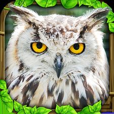  Owl Simulator   -   