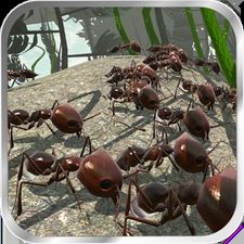 Скачать Ant Simulator 3D на Андроид - Взлом Все Открыто