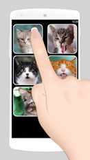Скачать Ложный вызов кошка 2 на Андроид - Взлом Все Открыто