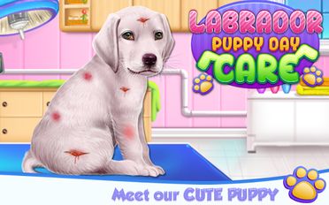 Скачать Labrador Puppy Day Care на Андроид - Взлом Много Монет
