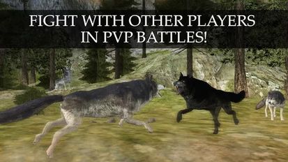  Wild Wolf Quest Online   -   