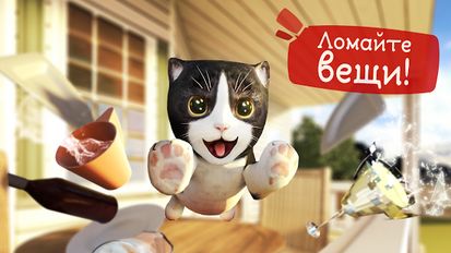 Скачать Симулятор Кошки на Андроид - Взлом Все Открыто