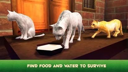 Скачать Home Cat Survival Simulator 3D на Андроид - Взлом Все Открыто