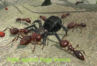  Ant Simulator 3D   -   