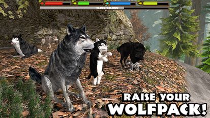 Скачать Ultimate Wolf Simulator на Андроид - Взлом Бесконечные деньги