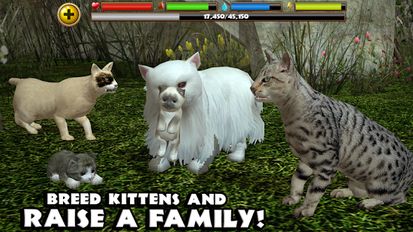 Скачать Stray Cat Simulator на Андроид - Взлом Все Открыто