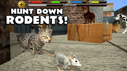 Скачать Stray Cat Simulator на Андроид - Взлом Все Открыто