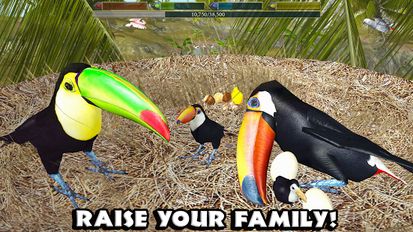 Скачать Ultimate Bird Simulator на Андроид - Взлом Бесконечные деньги