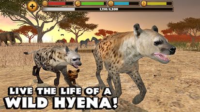 Скачать Hyena Simulator на Андроид - Взлом Бесконечные деньги