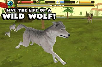 Скачать Wildlife Simulator: Wolf на Андроид - Взлом Все Открыто