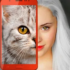 Взломанная Kitten: what cat are you? joke  [МОД Mega Pack] - последняя версия apk на Андроид