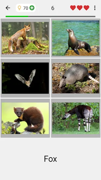 Animals Quiz Learn All Mammals  [МОД Menu] Screenshot 2