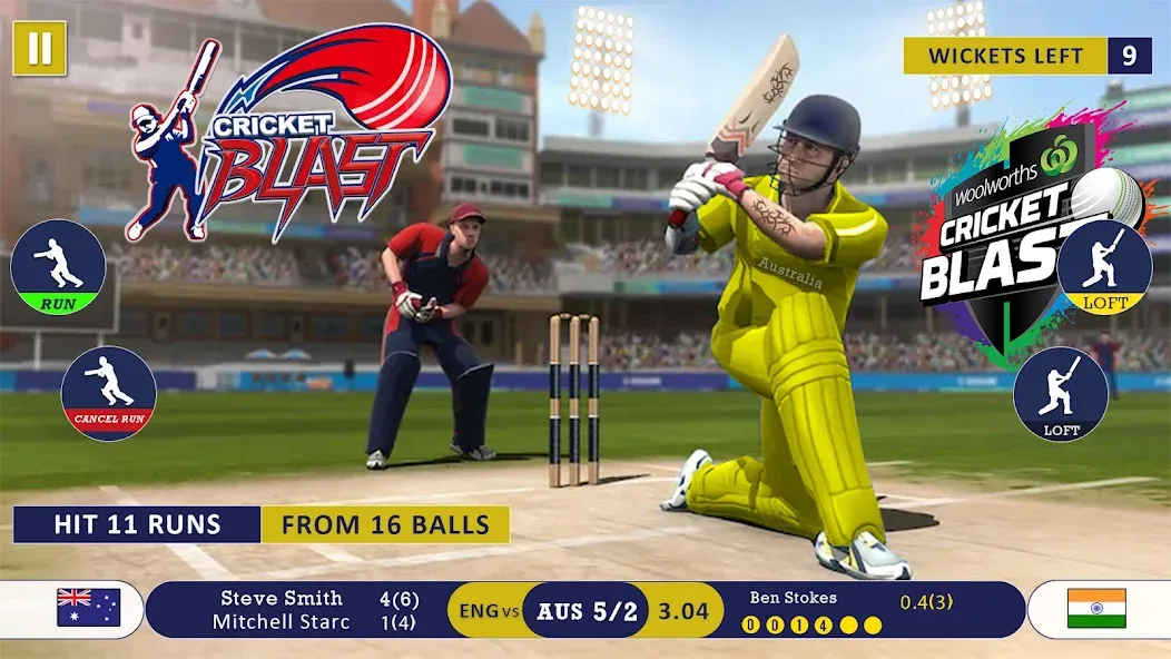 World Cricket Games Offline  [МОД Много денег] Screenshot 1