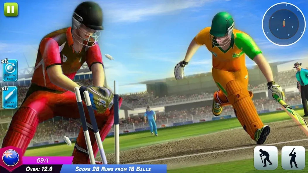 World Cricket Games Offline  [МОД Много денег] Screenshot 4