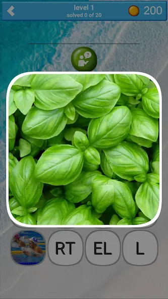 780 words (семьсот восемьдесят)  [МОД Много монет] Screenshot 4