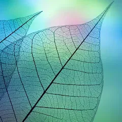 Взломанная 780 words (семьсот восемьдесят)  [МОД Много монет] - стабильная версия apk на Андроид