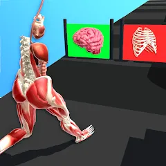 Скачать взломанную Human Run (Хуман Ран)  [МОД Menu] - последняя версия apk на Андроид