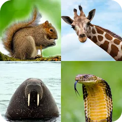Взлом Animal Quiz: Guess the Animal  [МОД Mega Pack] - полная версия apk на Андроид