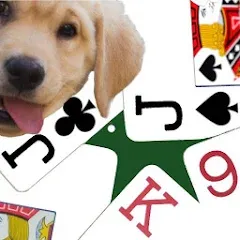 Взломанная K9 Euchre (К9 Юкер)  [МОД Много монет] - последняя версия apk на Андроид