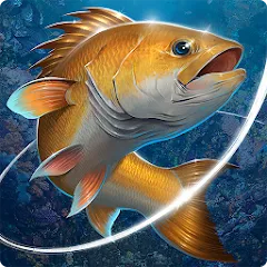 Взлом Fishing Hook  [МОД Бесконечные деньги] - последняя версия apk на Андроид