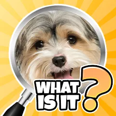 Скачать взломанную What is it? Pics Trivia Quiz  [МОД Menu] - полная версия apk на Андроид