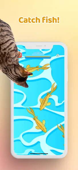 Games for Cat－Toy Mouse & Fish  [МОД Бесконечные деньги] Screenshot 3