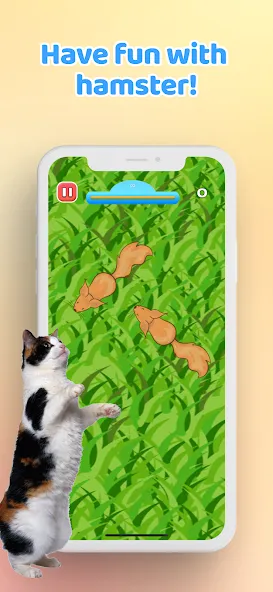 Games for Cat－Toy Mouse & Fish  [МОД Бесконечные деньги] Screenshot 5