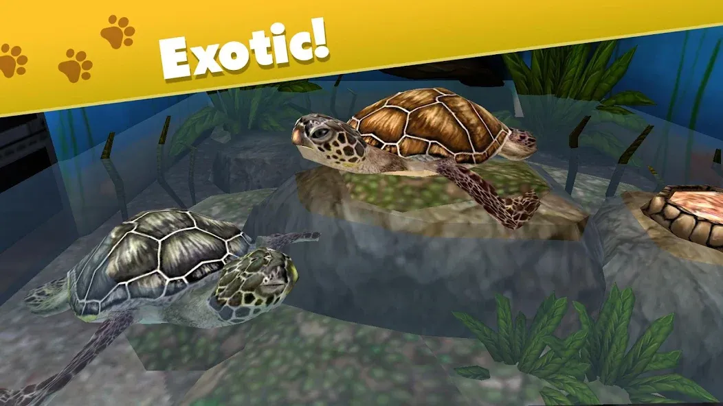 Pet World - My Animal Shelter (Пет Ворлд)  [МОД Бесконечные монеты] Screenshot 4