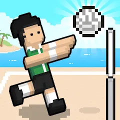 Взлом Volley Random (Воллей Рэндом)  [МОД Unlimited Money] - полная версия apk на Андроид