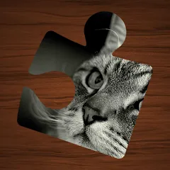 Скачать взлом Animal Puzzles: Jigsaw Mosaics  [МОД Бесконечные монеты] - стабильная версия apk на Андроид