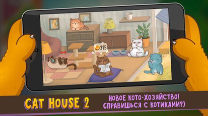  Cats house 2   -   