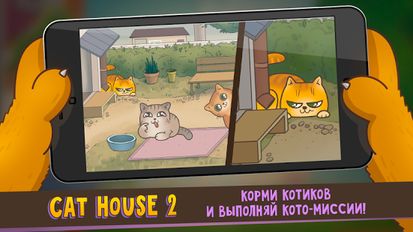  Cats house 2   -   
