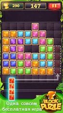  Block Puzzle Jewel   -   