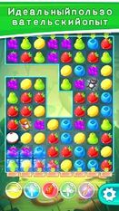  Sweet Fruit Candy   -   