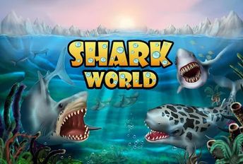  Shark World   -   