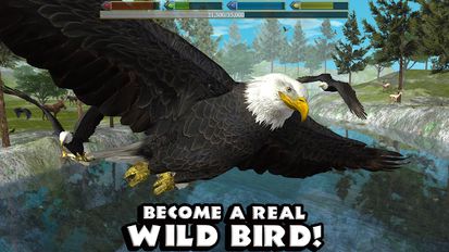 Скачать Ultimate Bird Simulator на Андроид - Взлом Бесконечные деньги