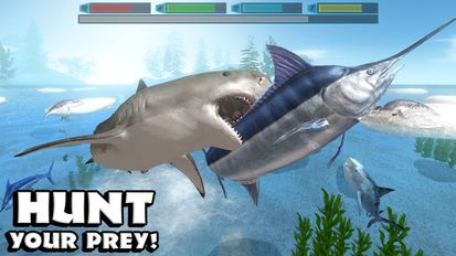 Скачать Ultimate Shark Simulator на Андроид - Взлом Много Монет