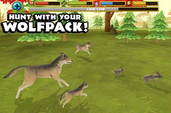  Wildlife Simulator: Wolf   -   