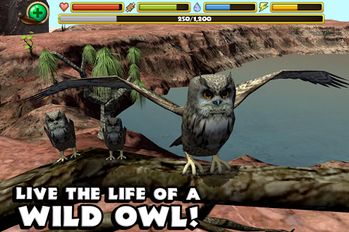 Скачать Owl Simulator на Андроид - Взлом Много Монет