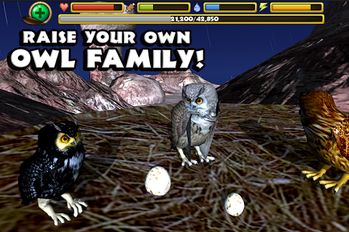 Скачать Owl Simulator на Андроид - Взлом Много Монет