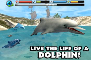 Скачать Dolphin Simulator на Андроид - Взлом Бесконечные деньги